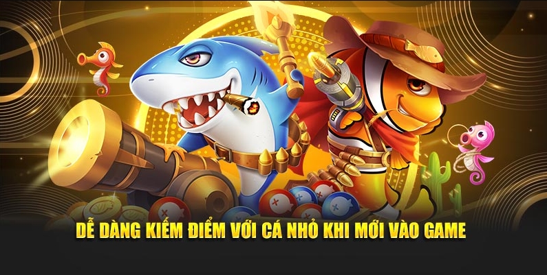 Bắt đầu hành trình săn cá chỉ với 3 bước